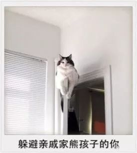 d9b4aca7b14b36c11d9053b6d06d3dd1.jpg