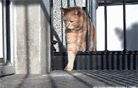 174cb1bd25ced2b0c866c2165bc7c090.gif