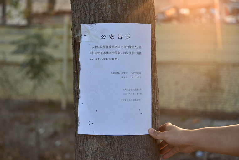 63be9d3233baafc42ab48b5ee88884be.jpg