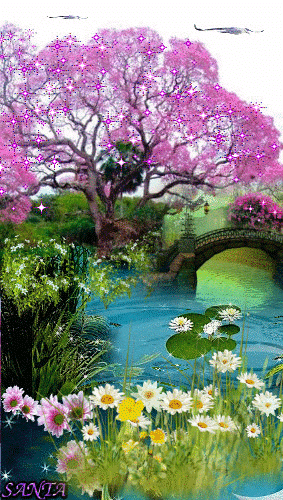 c8e102bd11857ff5c969b16534545a4a.gif