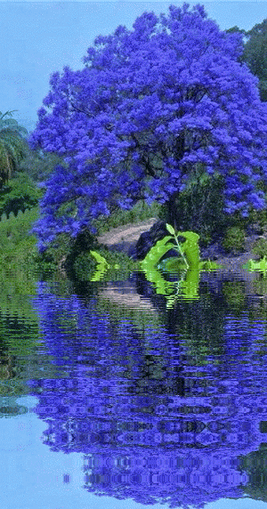 e1f3b19cf7325deadfd17a3d0266f099.gif